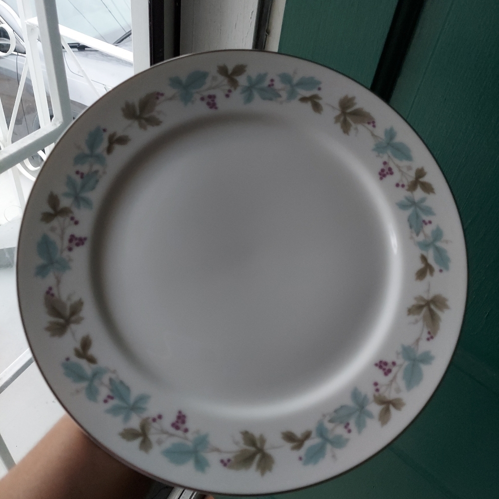 🔥🔥🔥- LOT OF SIX Vintage MS Fine China of Japan #6701 6 1/2" Grapevine Pattern